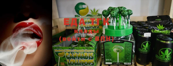 индика Балахна