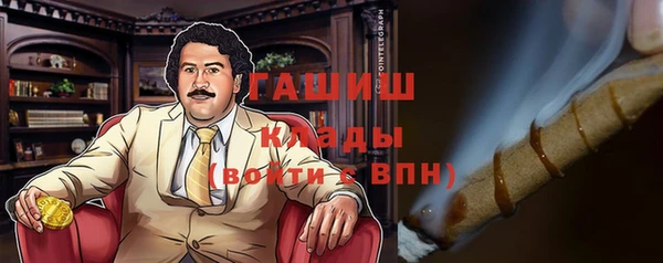 индика Балахна