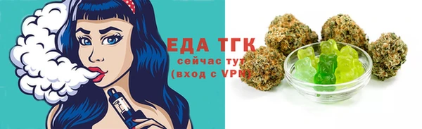 индика Балахна