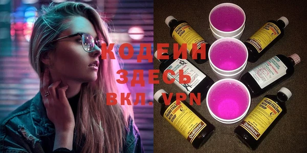 индика Балахна