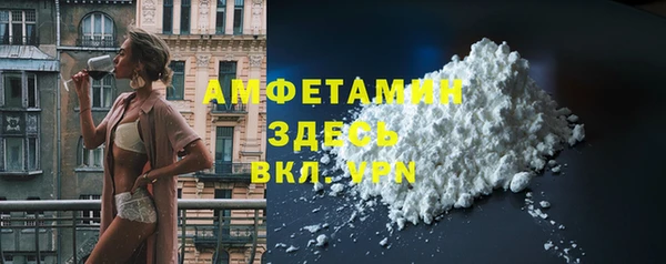 ECSTASY Гусь-Хрустальный